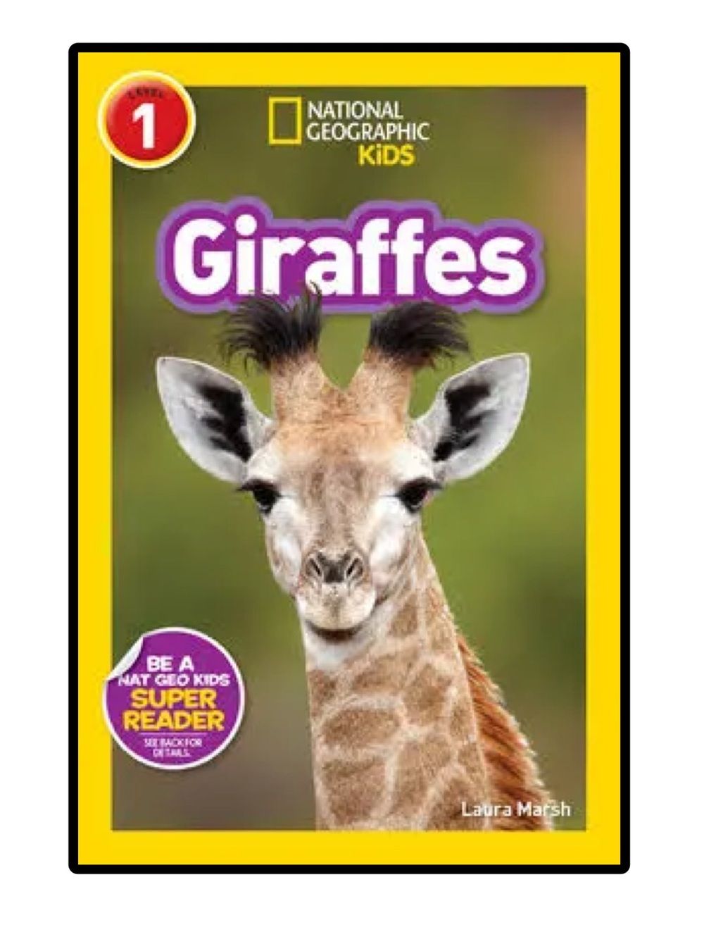 BUNDLE & SAVE 🐳 National Geographic Kids Giraffes Softcover Book